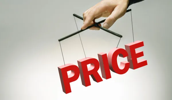 Purva Horizon Price